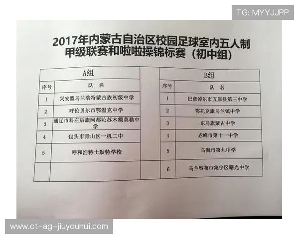 内蒙古各城市足球发展现状与未来趋势分析